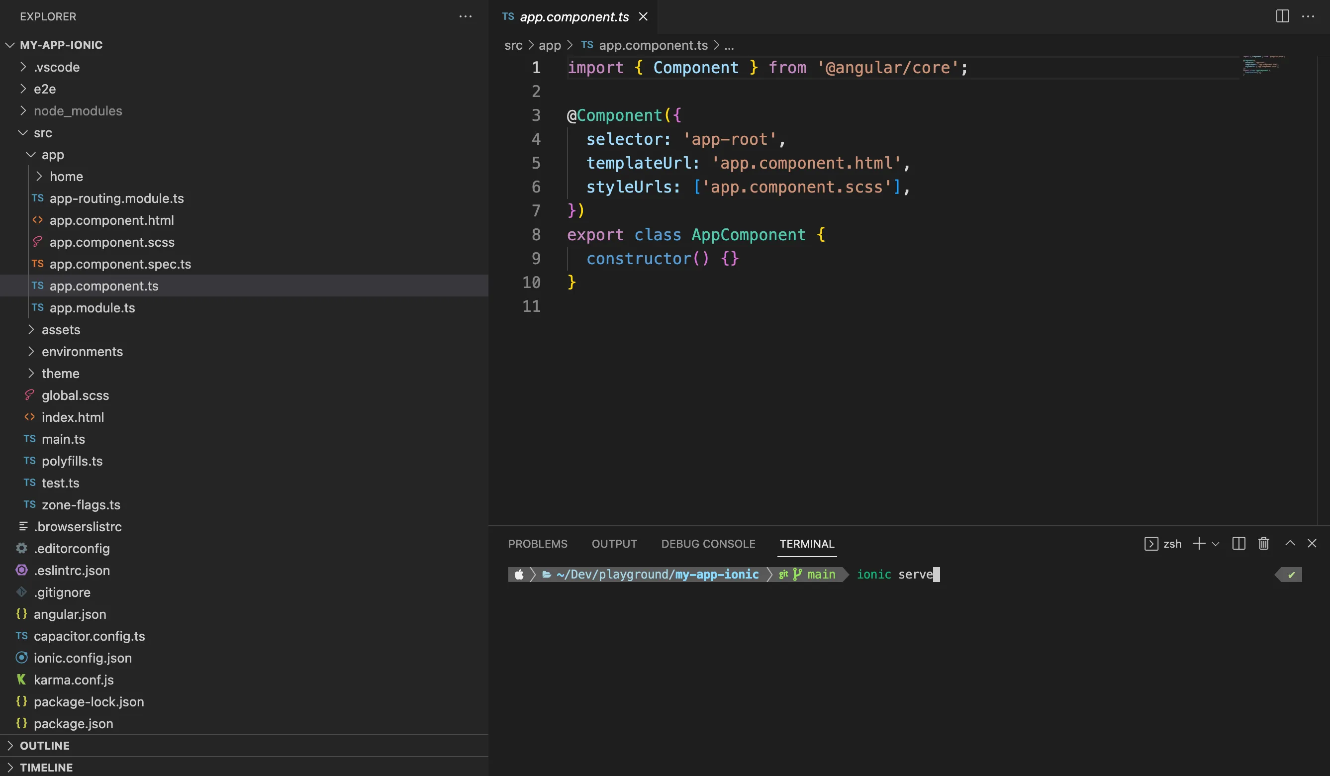 VS Code with Ionic project open
